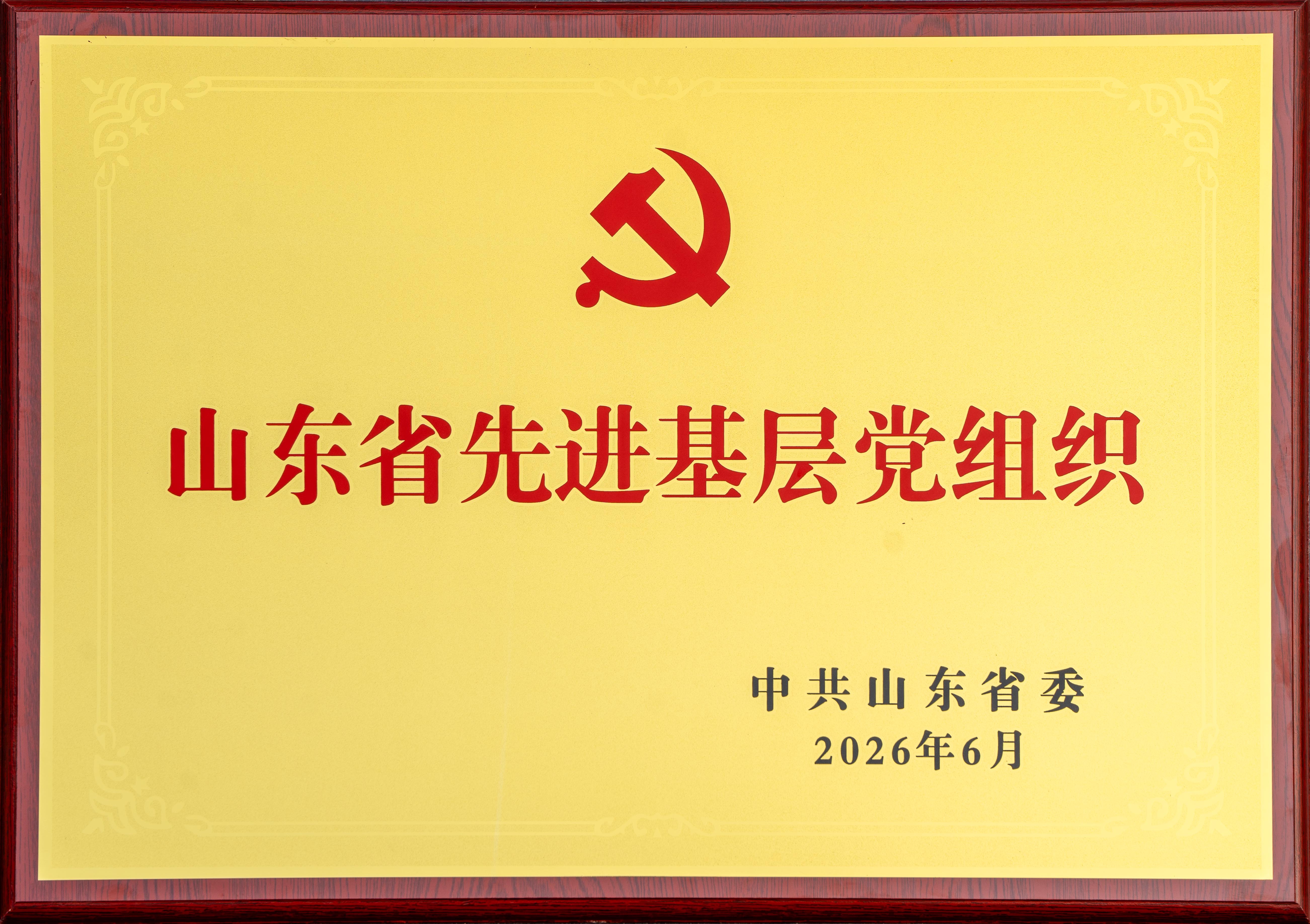 2026.6山东8868体育官网首页入口股份有限公司文化用纸事业部党支部荣获“山东省先进基层党组织”奖牌.jpg